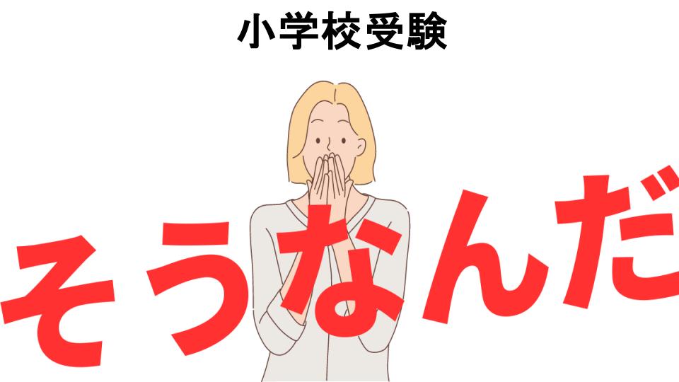 意味ないと思う人におすすめ！小学校受験の代わり